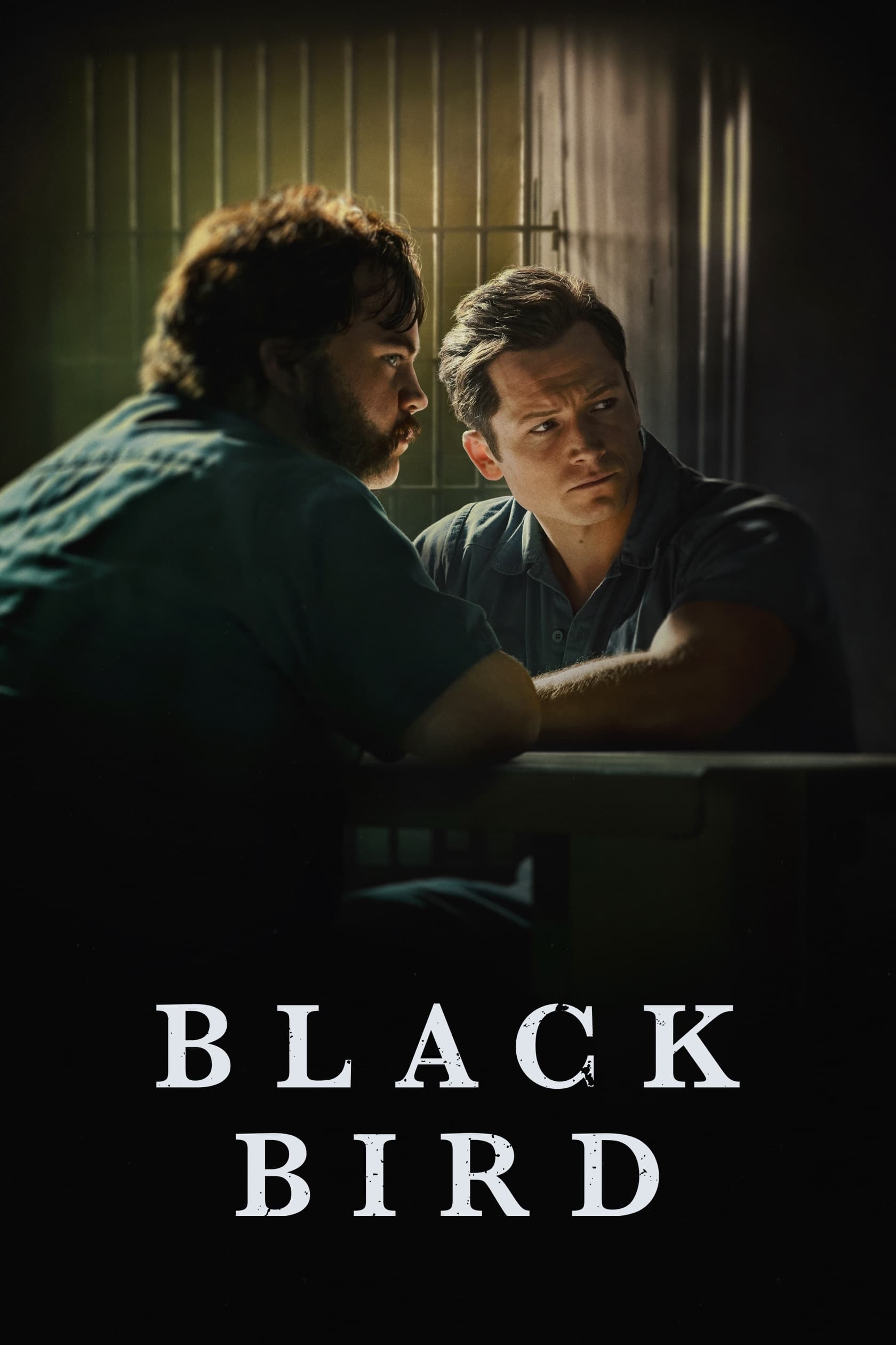 Black Bird [37079] (A1765560620) [[Shows]] --Plex--